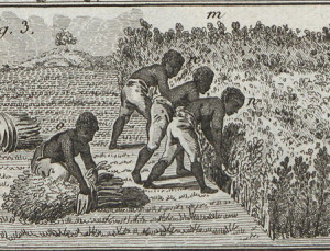 Image: esclave au travail